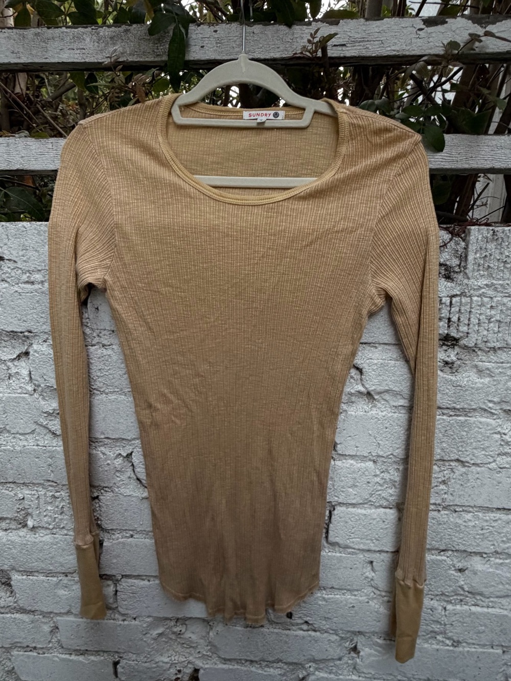 Sundry Long Sleeve Ribbed Tee in Tan